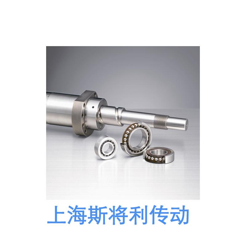 WBK35DFF-31H-NSK重载支撑单元